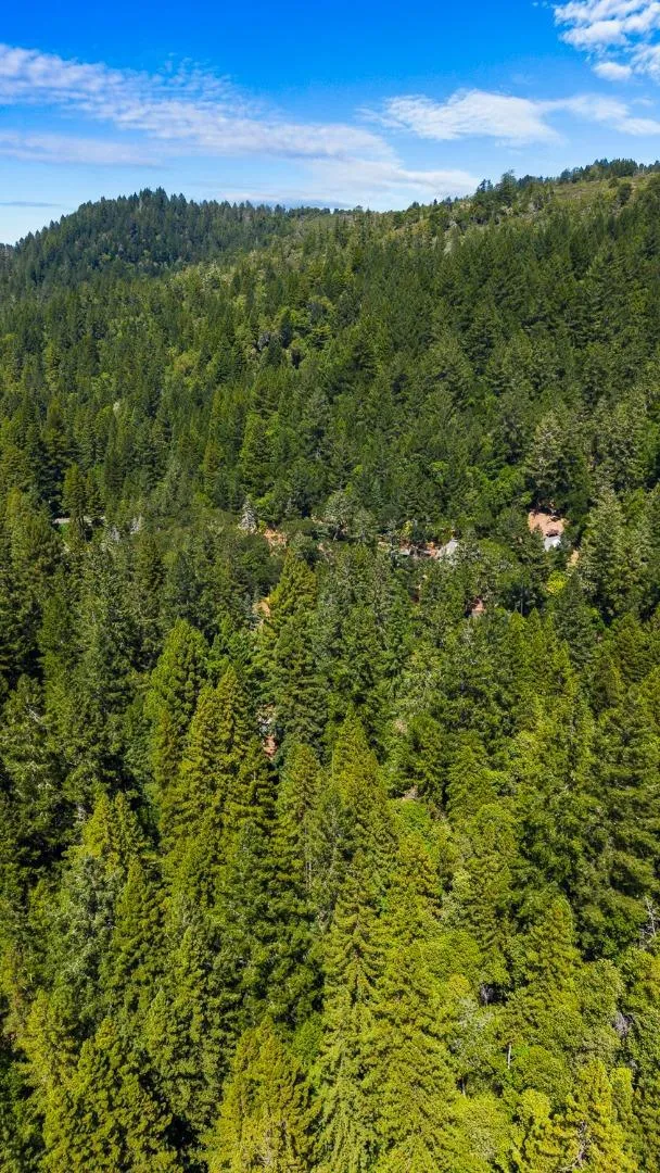 8400 Tyrone Road Occidental, CA 95465