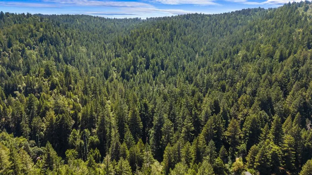 8400 Tyrone Road Occidental, CA 95465
