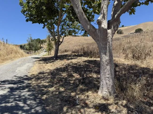 Higuera Road San Jose, CA 95148