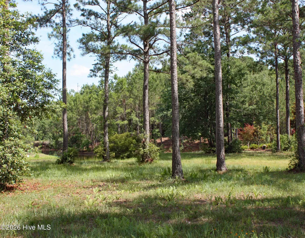 738 Highgate Place SW Ocean Isle Beach, NC 28469