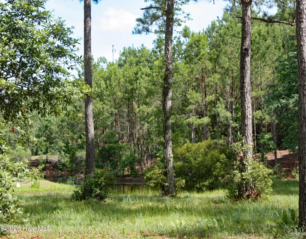 738 Highgate Place SW Ocean Isle Beach, NC 28469