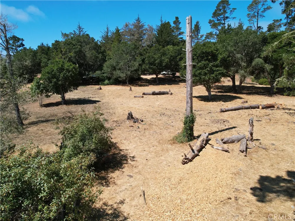 Londonderry Lane Cambria, CA 93428