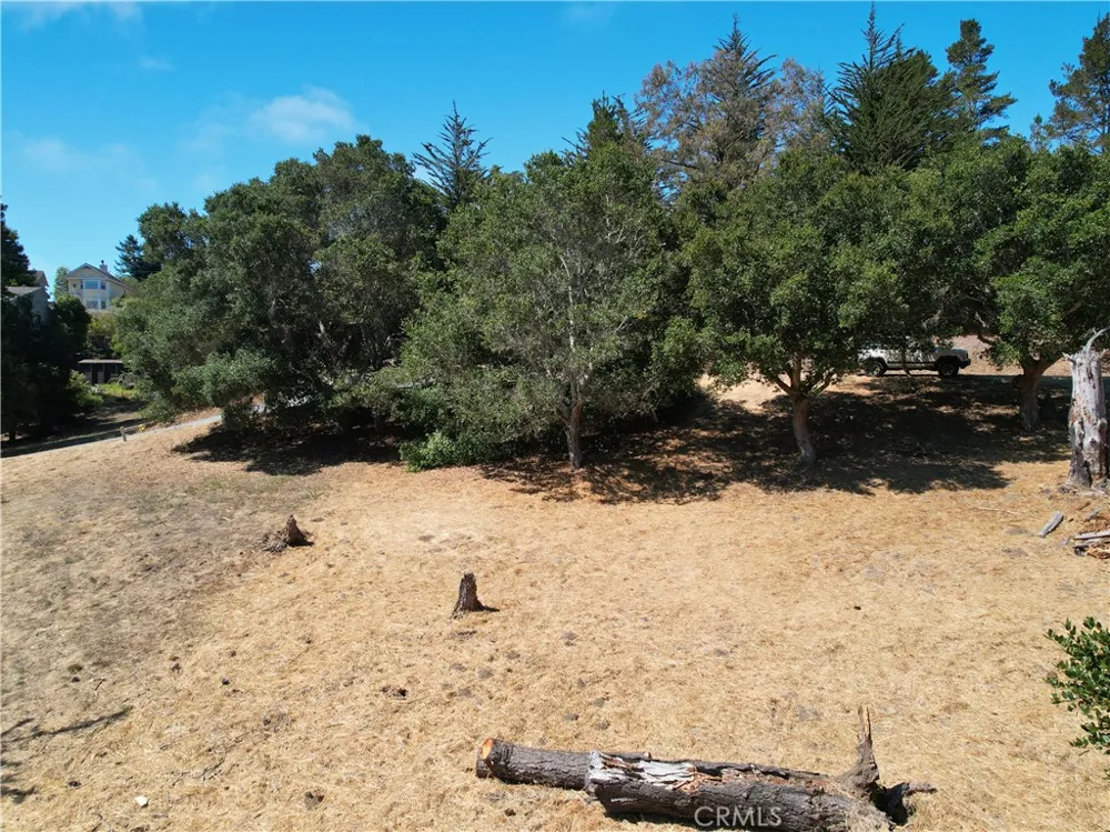 Londonderry Lane Cambria, CA 93428