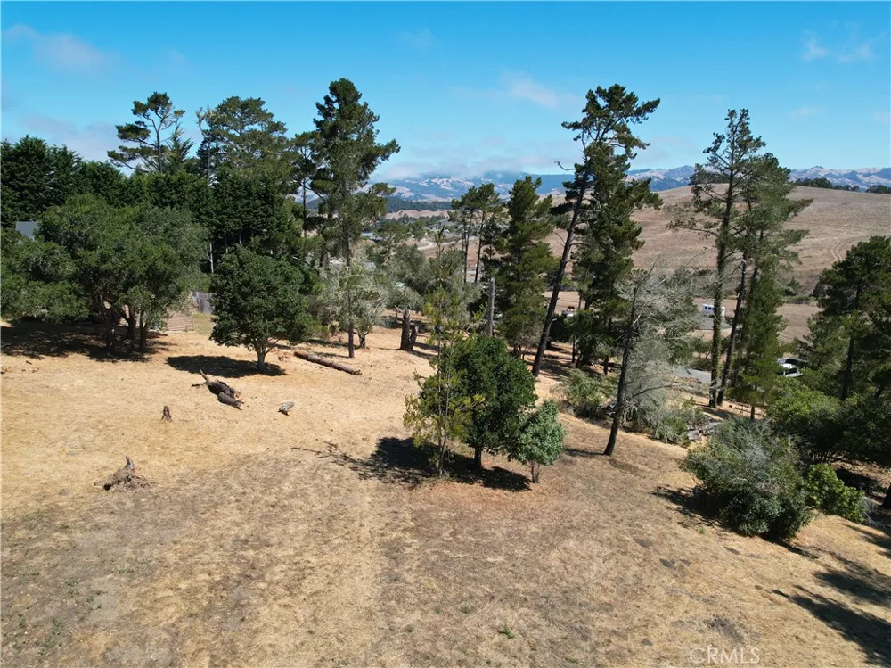 Londonderry Lane Cambria, CA 93428