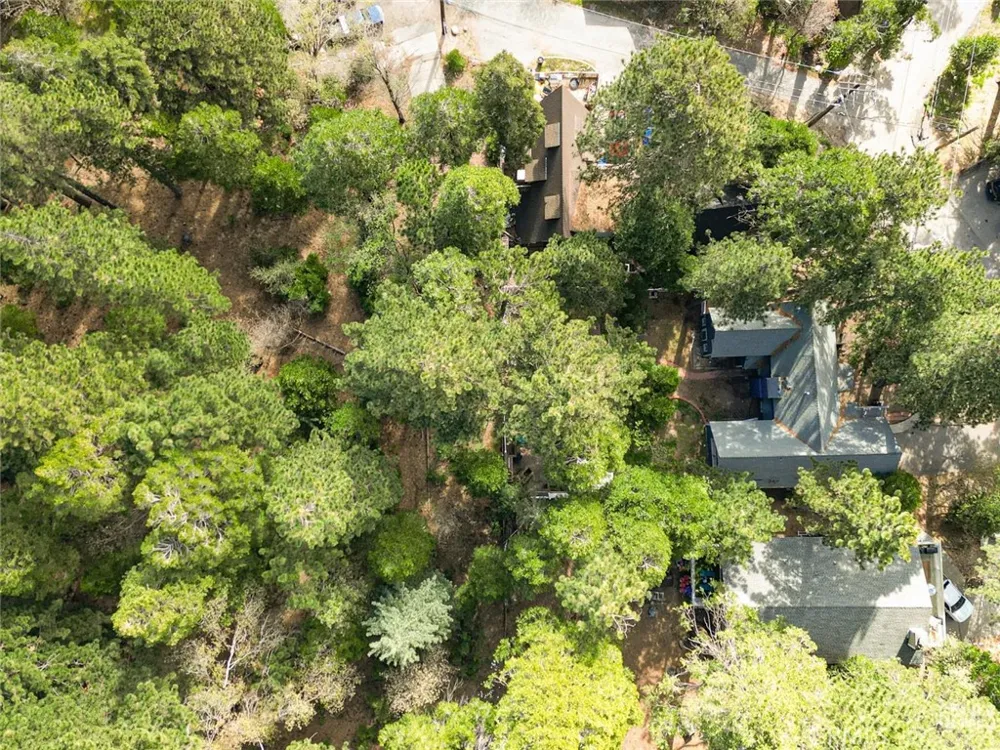 27472 Meadow Dr Crest Park, CA 92326