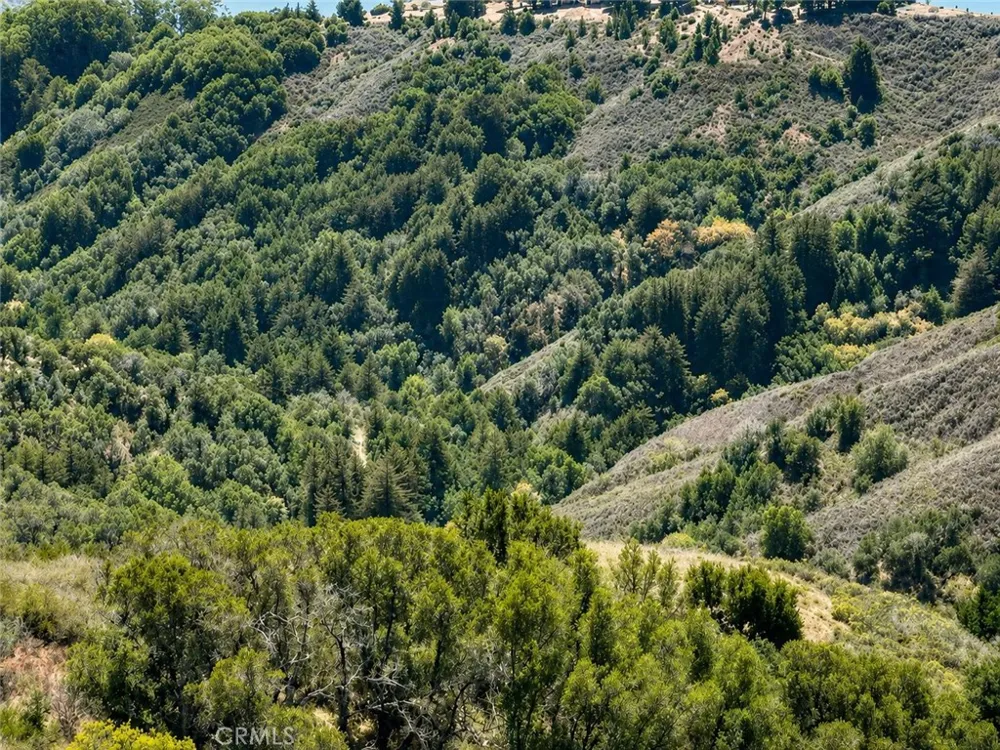 46190 Pfeiffer Ridge Big Sur, CA 93920