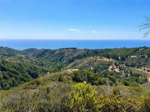 46190 Pfeiffer Ridge