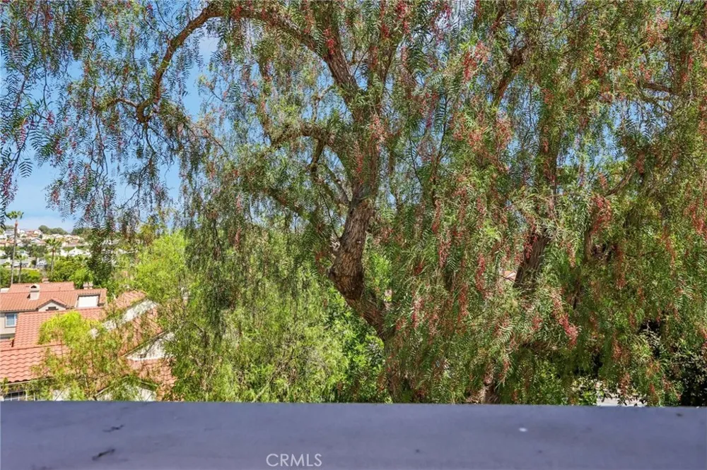 21954 Barbados Mission Viejo, CA 92692