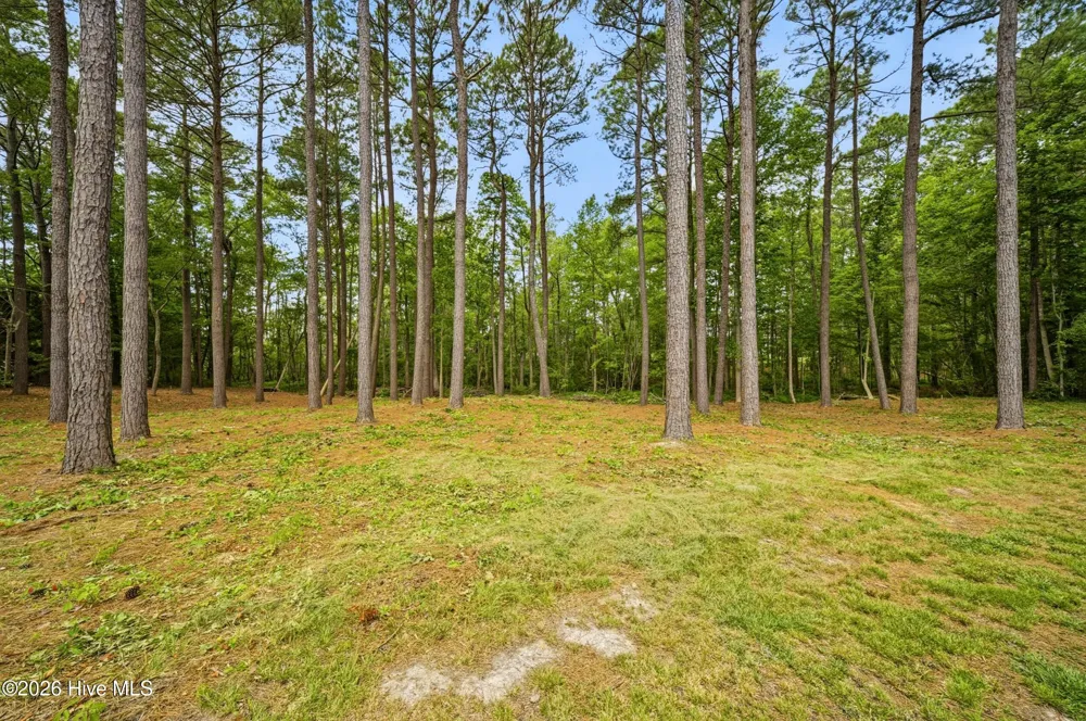 134 Yeopim Creek Drive Hertford, NC 27944
