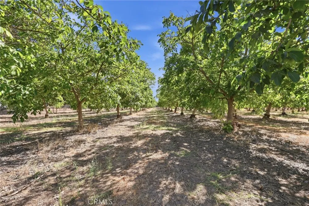 491 Justeson Gridley, CA 95948
