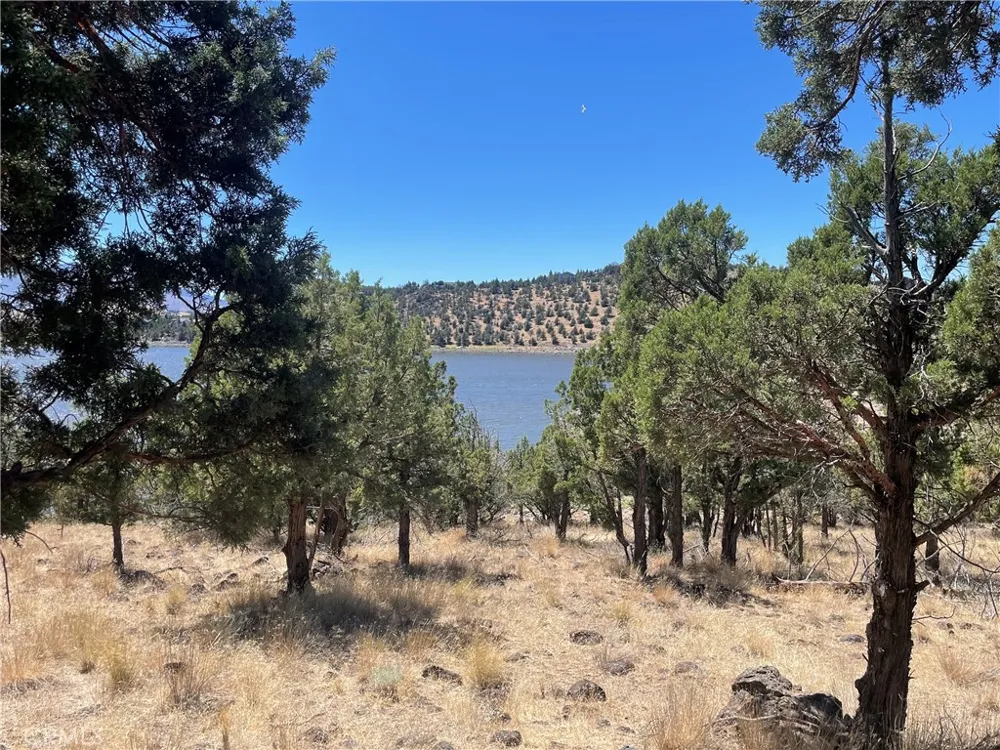 40 Lake Shore Drive Weed, CA 96094