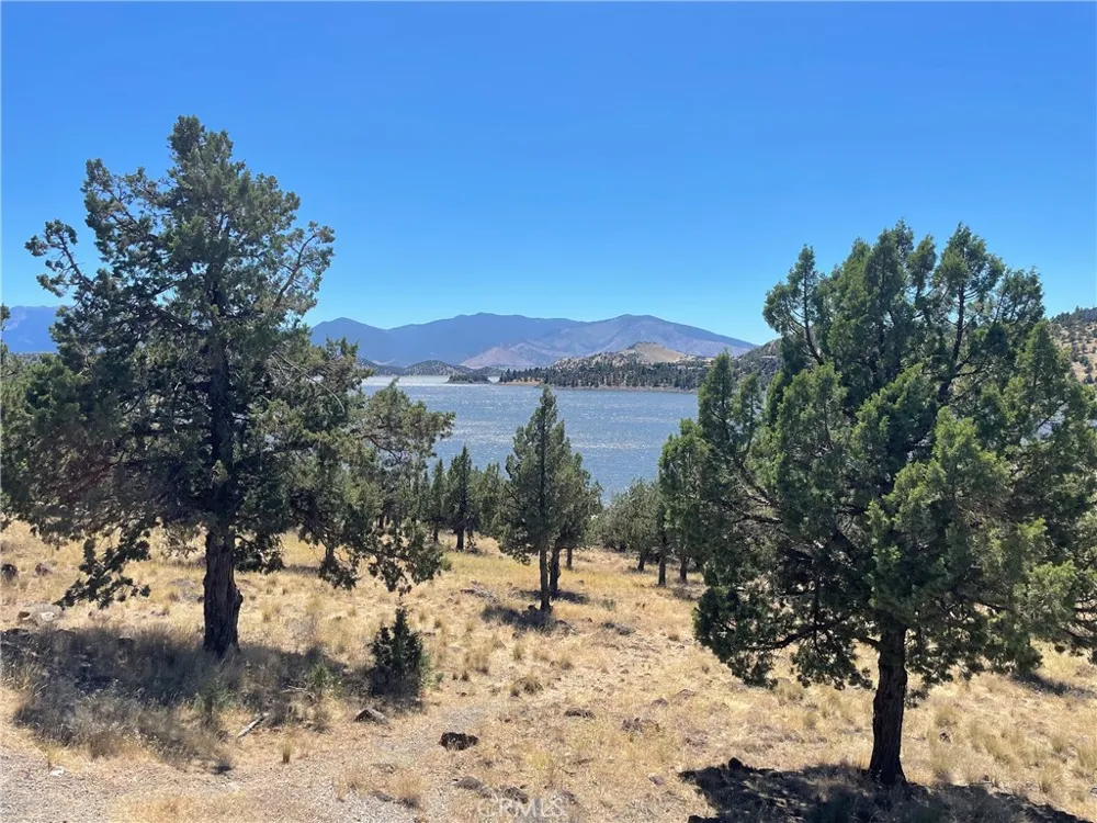 40 Lake Shore Drive Weed, CA 96094