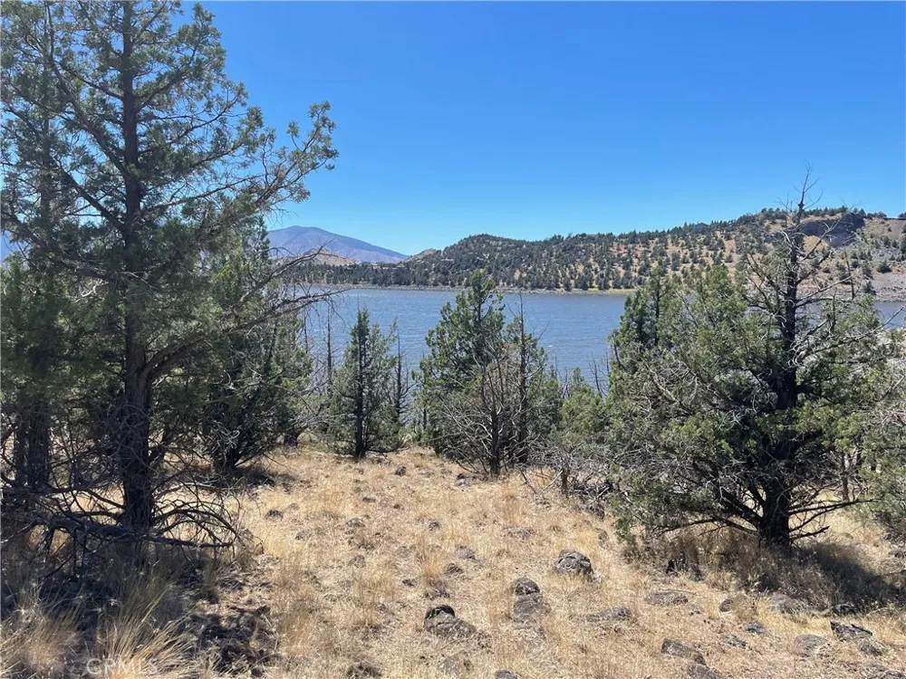 40 Lake Shore Drive Weed, CA 96094