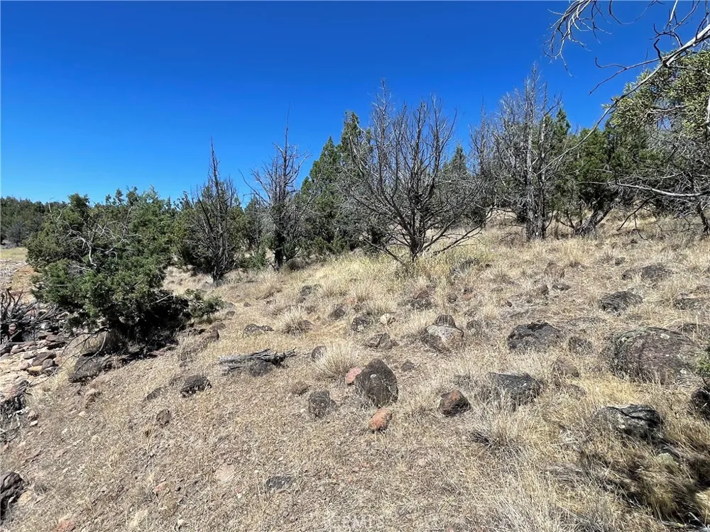 40 Lake Shore Drive Weed, CA 96094