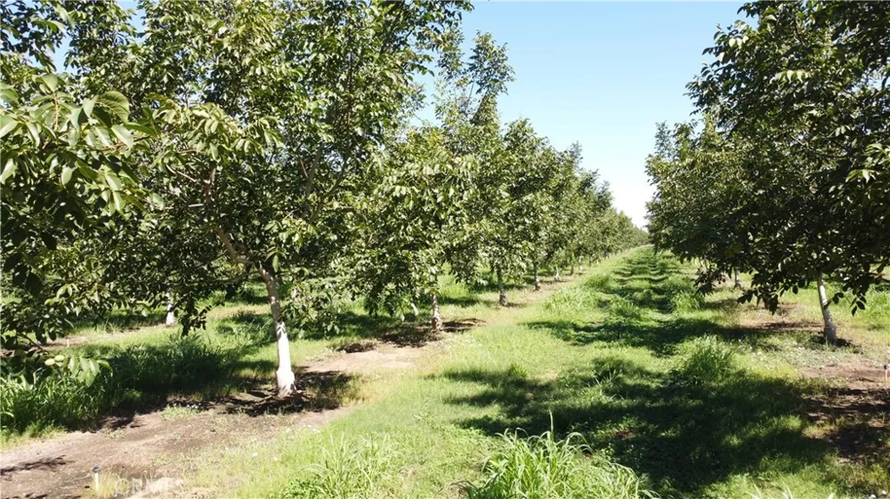 6514 County Road 8 Orland, CA 95963