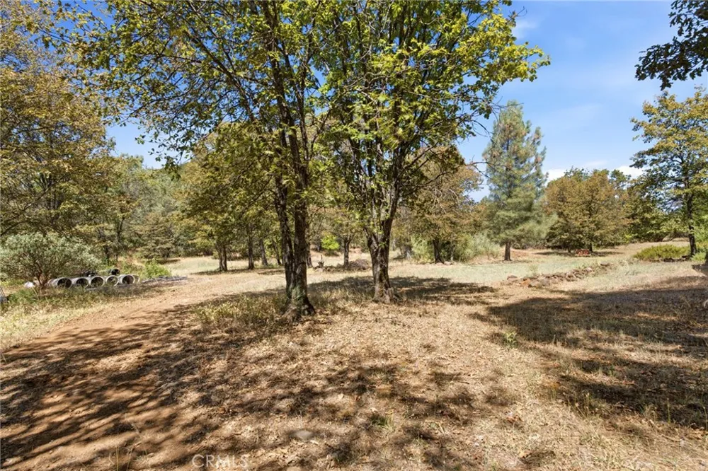 29529 CA 299 East Round Mountain, CA 96065