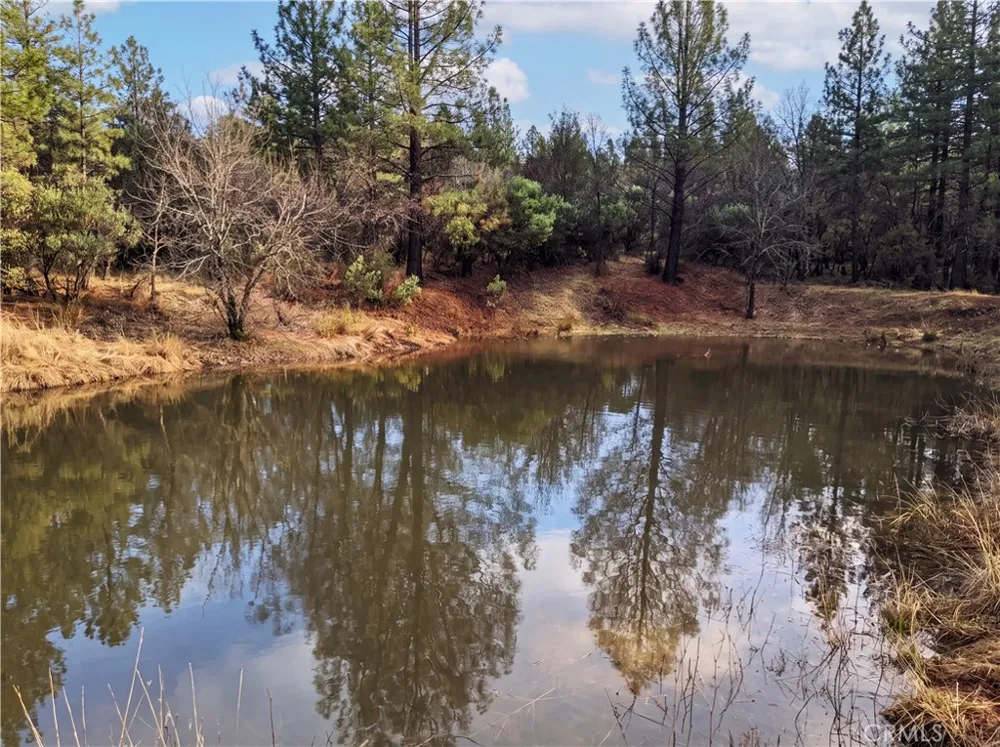 29529 CA 299 East Round Mountain, CA 96065