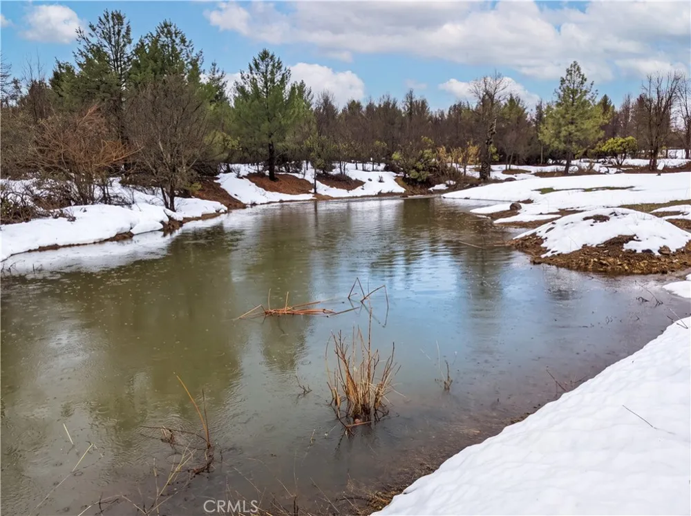29529 CA 299 East Round Mountain, CA 96065