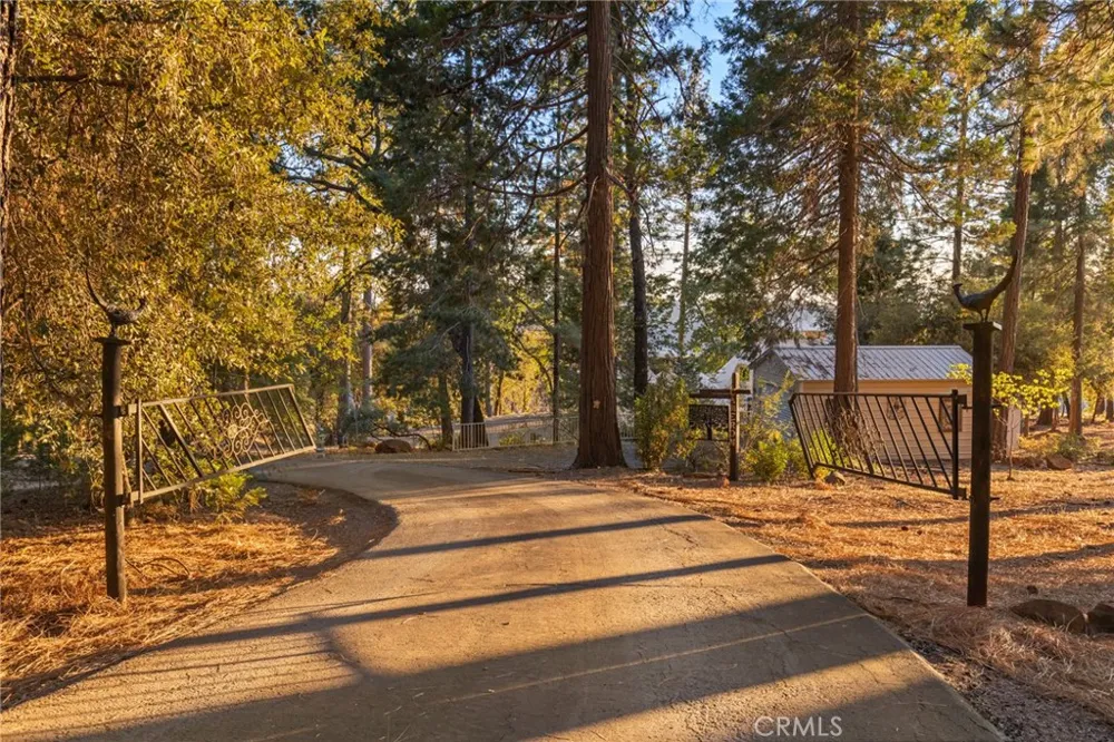 4625 Dear Abby Road Forest Ranch, CA 95942
