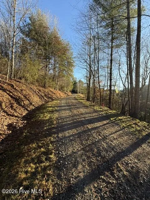 Lot 5 Downings Creek Road Hayesville, NC 28904