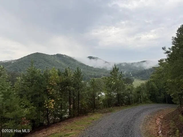 Lot 5 Downings Creek Road Hayesville, NC 28904