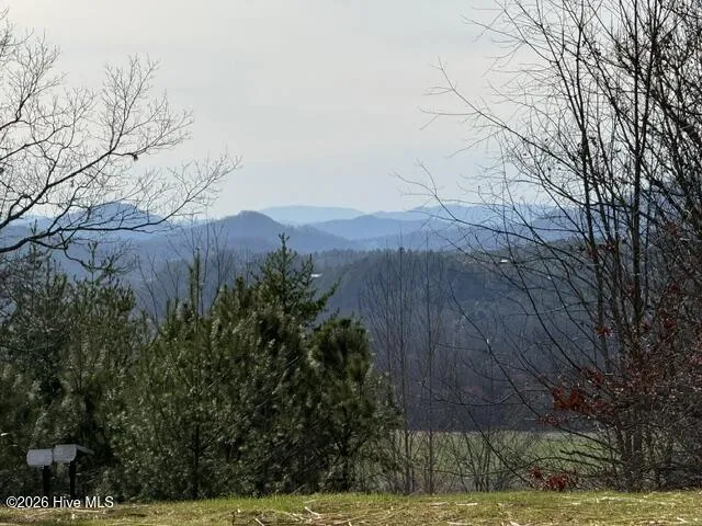 Lot 5 Downings Creek Road Hayesville, NC 28904