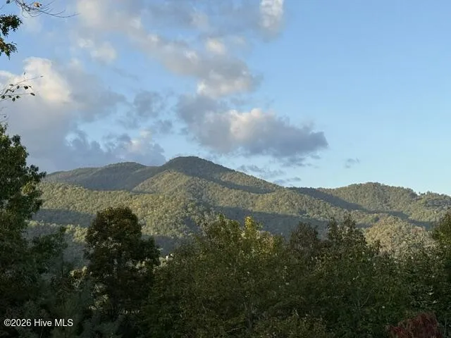 Lot 5 Downings Creek Road Hayesville, NC 28904