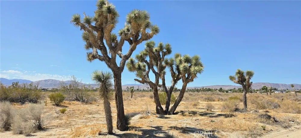 57th Street E Palmdale, CA 93550