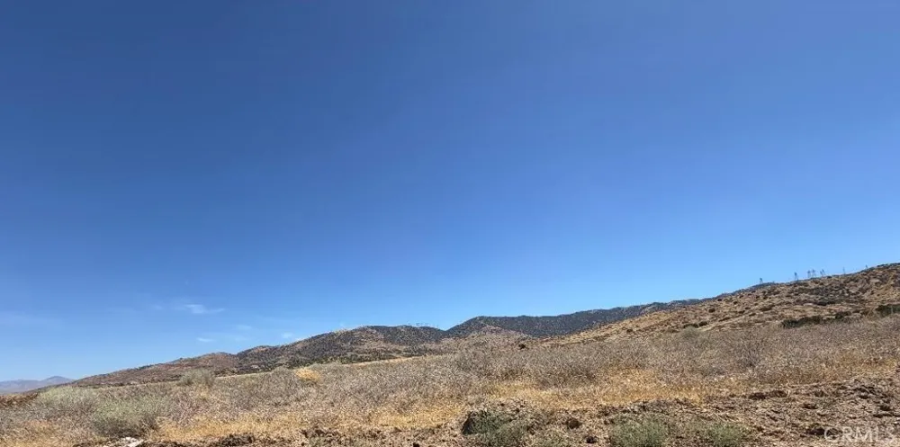 1600 Gazelle Palmdale, CA 93551