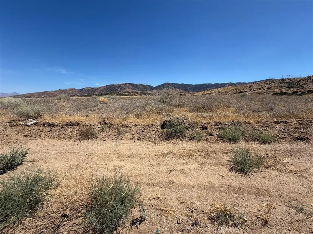 1600 Gazelle Palmdale, CA 93551