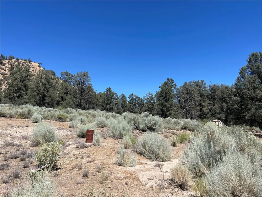 Derby Frazier Park, CA 93222