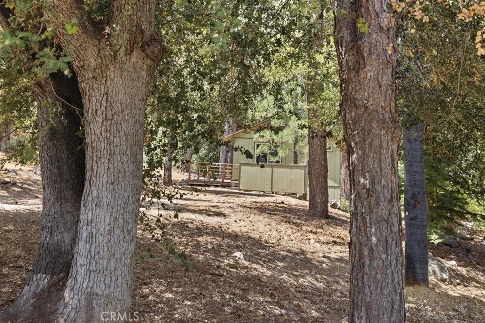 2009 Bernina Pine Mountain Club, CA 93222