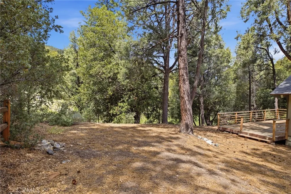 2009 Bernina Pine Mountain Club, CA 93222