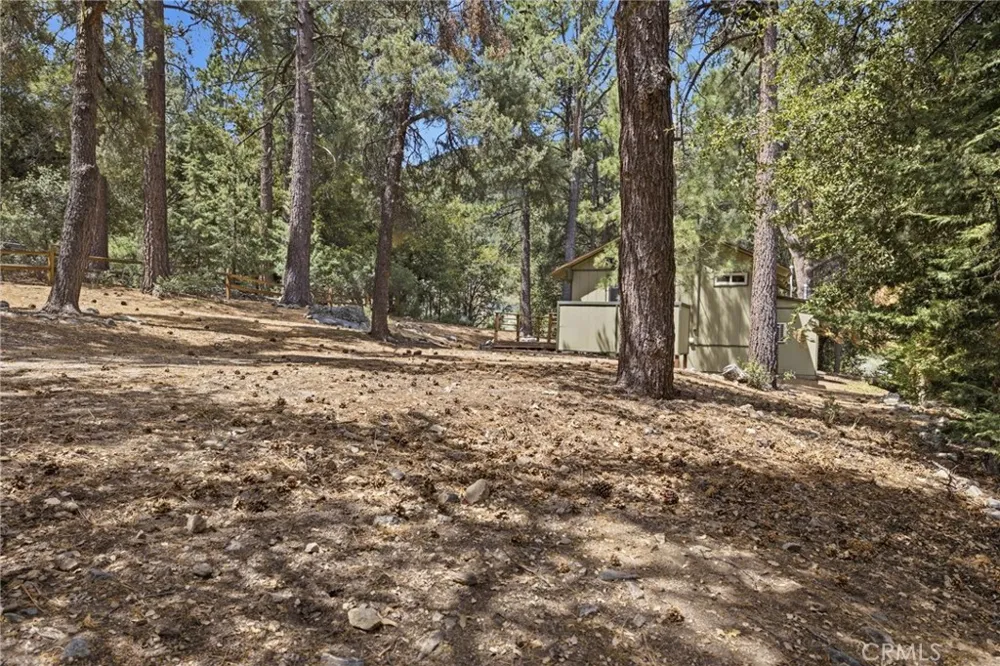 2009 Bernina Pine Mountain Club, CA 93222