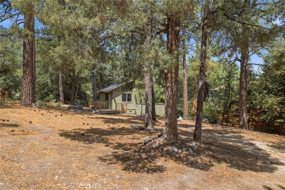 2009 Bernina Pine Mountain Club, CA 93222