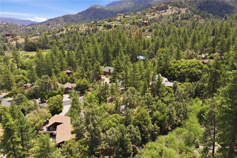 2009 Bernina Pine Mountain Club, CA 93222