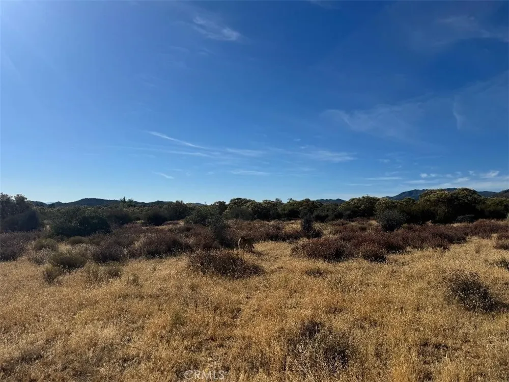 44243 Chapman Anza, CA 92539