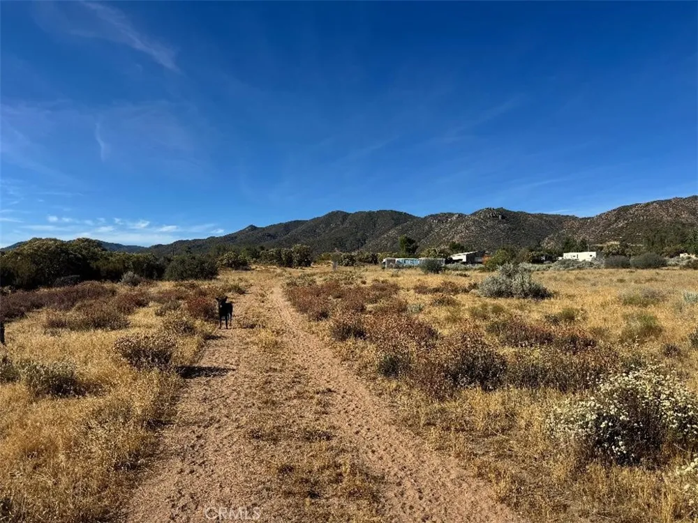 44243 Chapman Anza, CA 92539