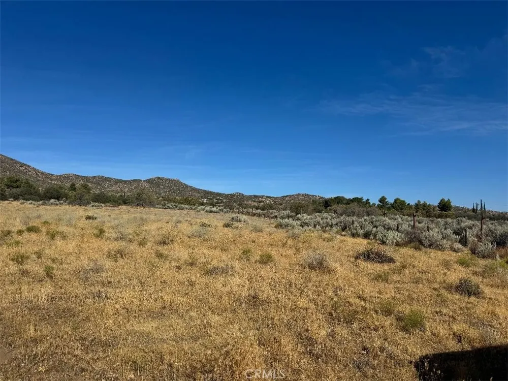 44243 Chapman Anza, CA 92539