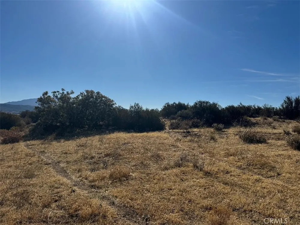 44243 Chapman Anza, CA 92539