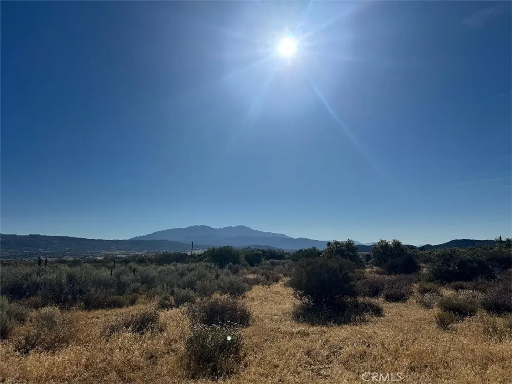 44243 Chapman Anza, CA 92539