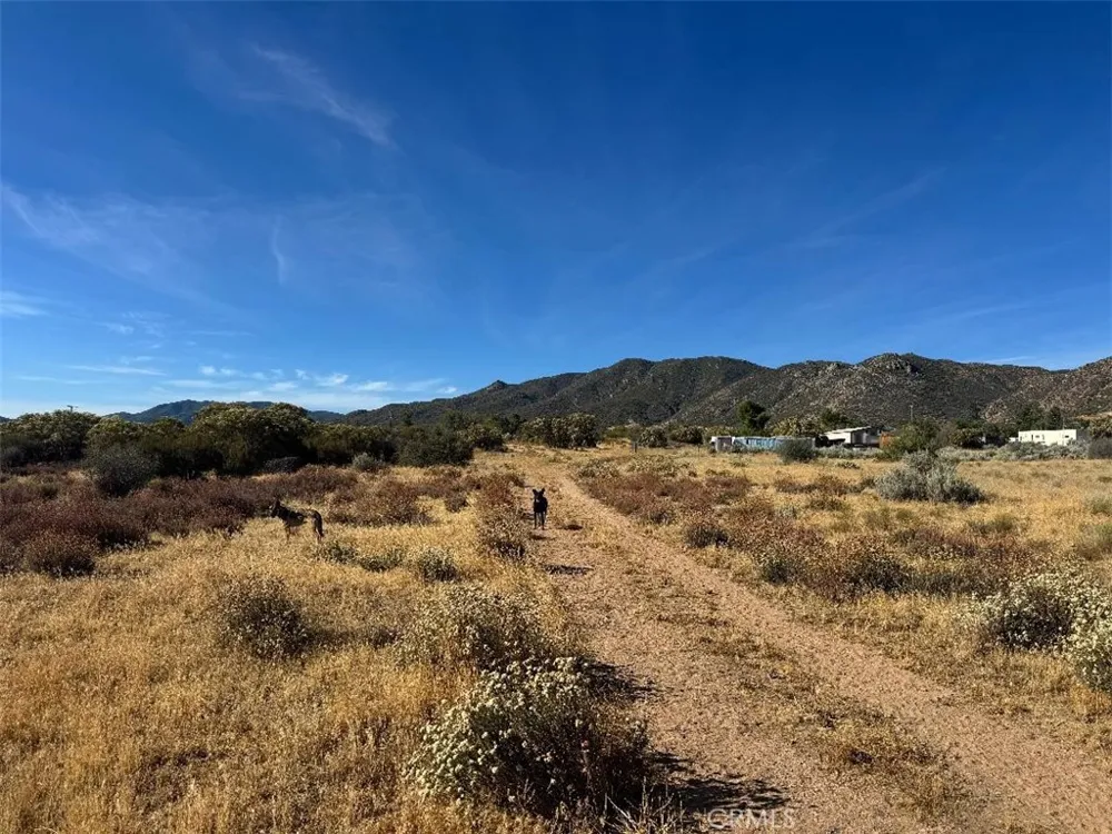 44243 Chapman Anza, CA 92539