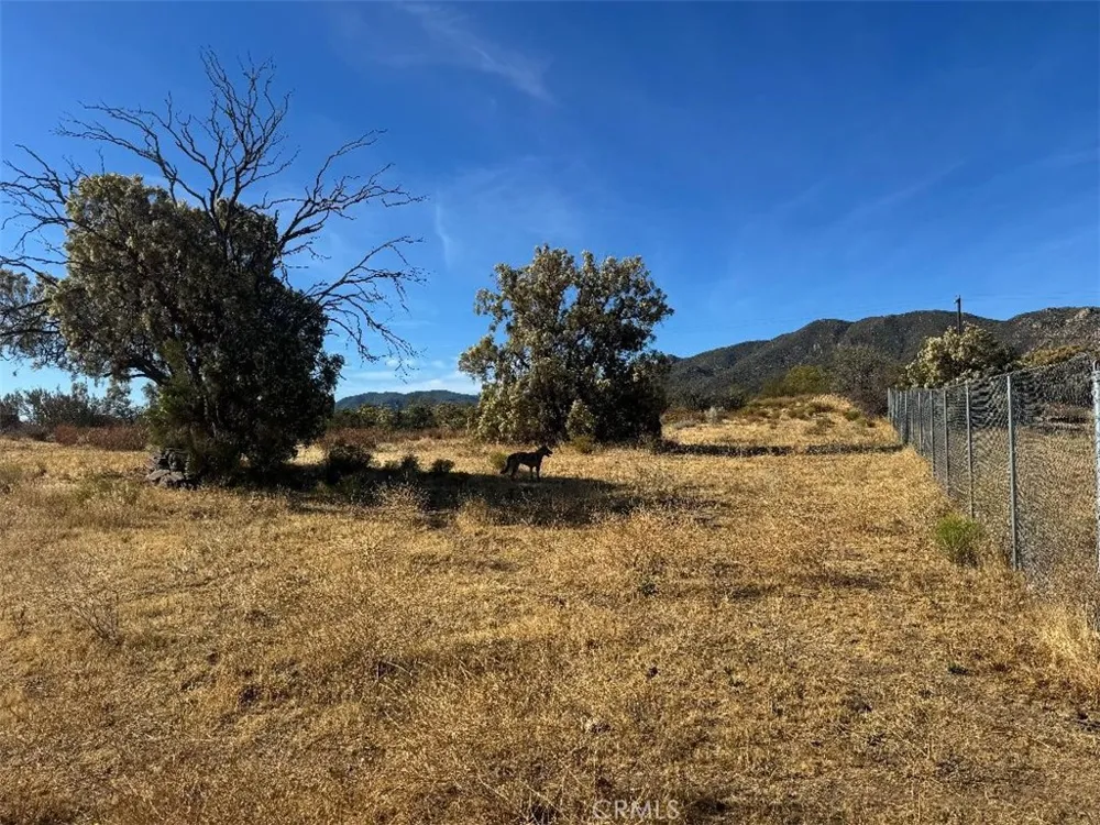 44243 Chapman Anza, CA 92539