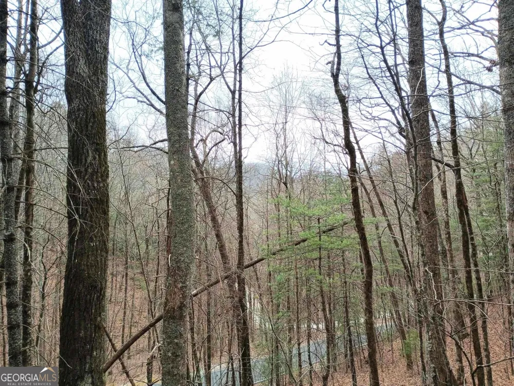 0 LOT 289 Cobblewood TRL Sky Valley, GA 30537