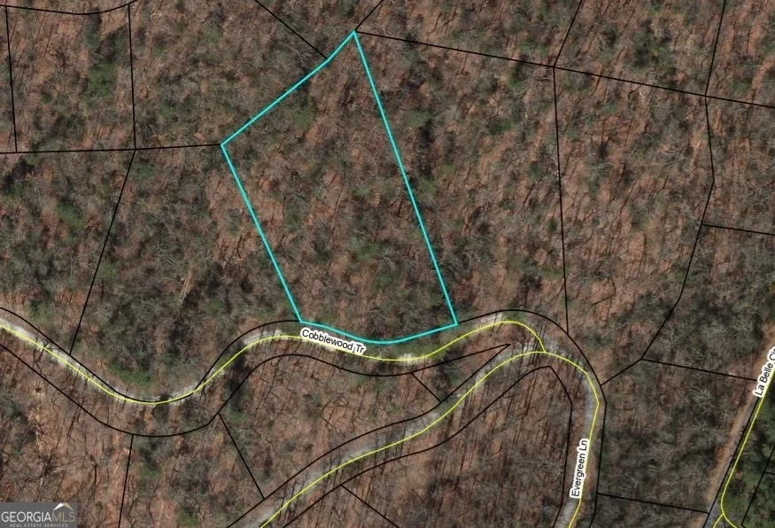 0 LOT 289 Cobblewood TRL Sky Valley, GA 30537