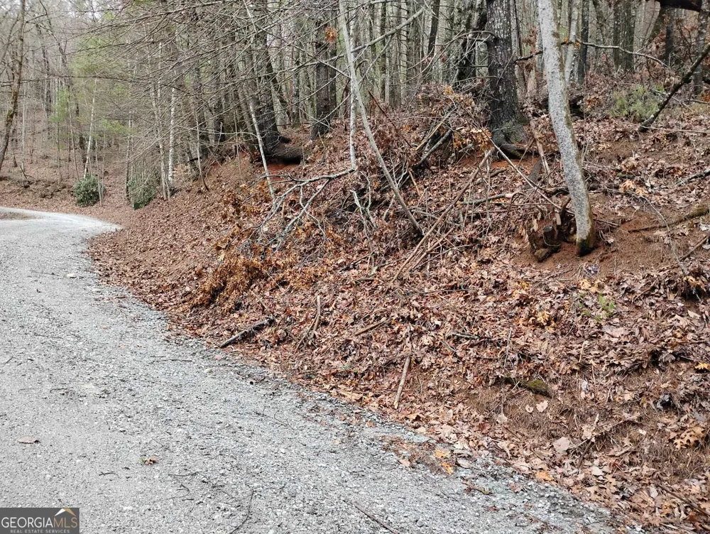 0 LOT 289 Cobblewood TRL Sky Valley, GA 30537