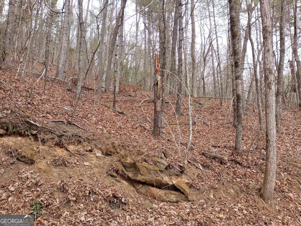 0 LOT 289 Cobblewood TRL Sky Valley, GA 30537
