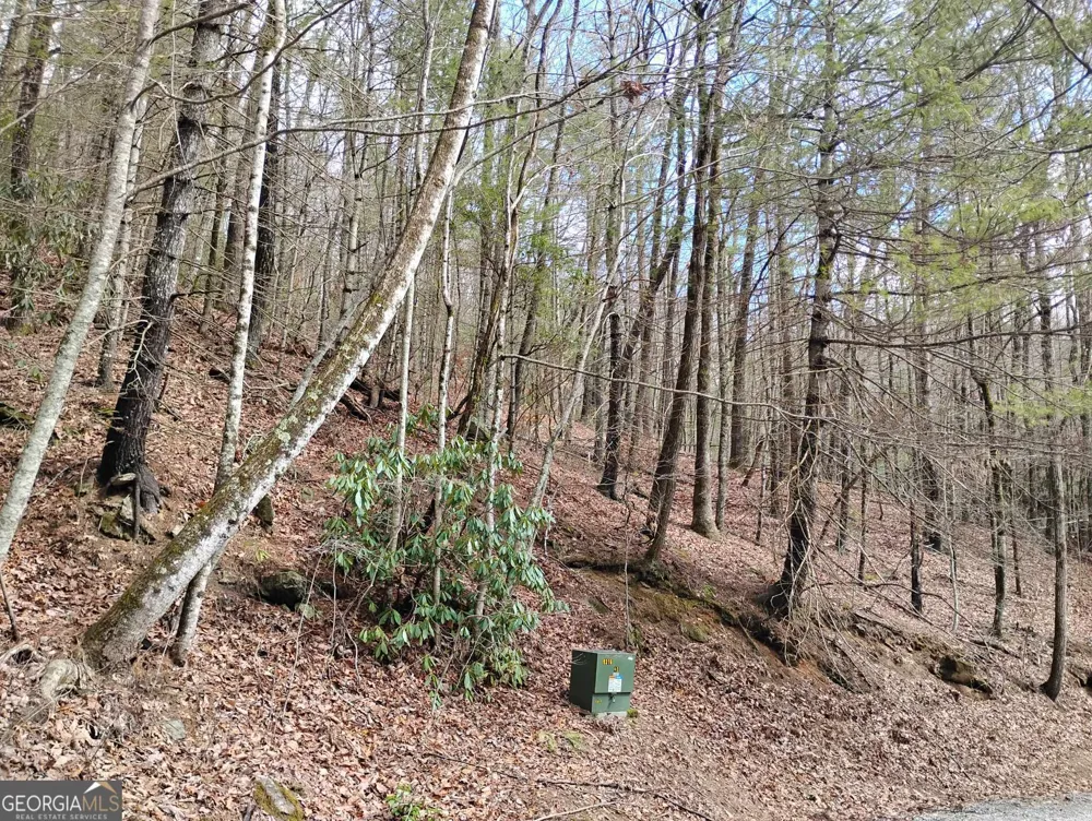 0 LOT 289 Cobblewood TRL Sky Valley, GA 30537