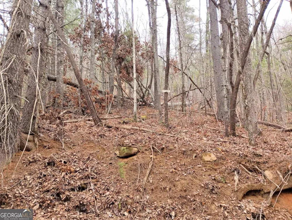 0 LOT 289 Cobblewood TRL Sky Valley, GA 30537