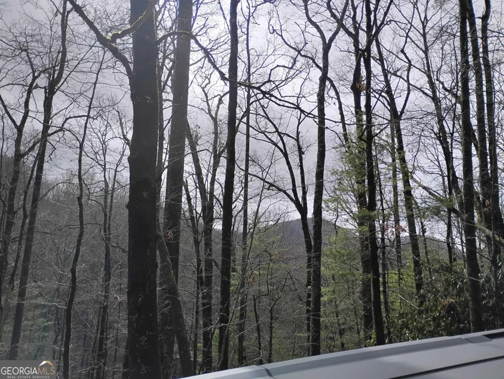 0 LOT 289 Cobblewood TRL Sky Valley, GA 30537